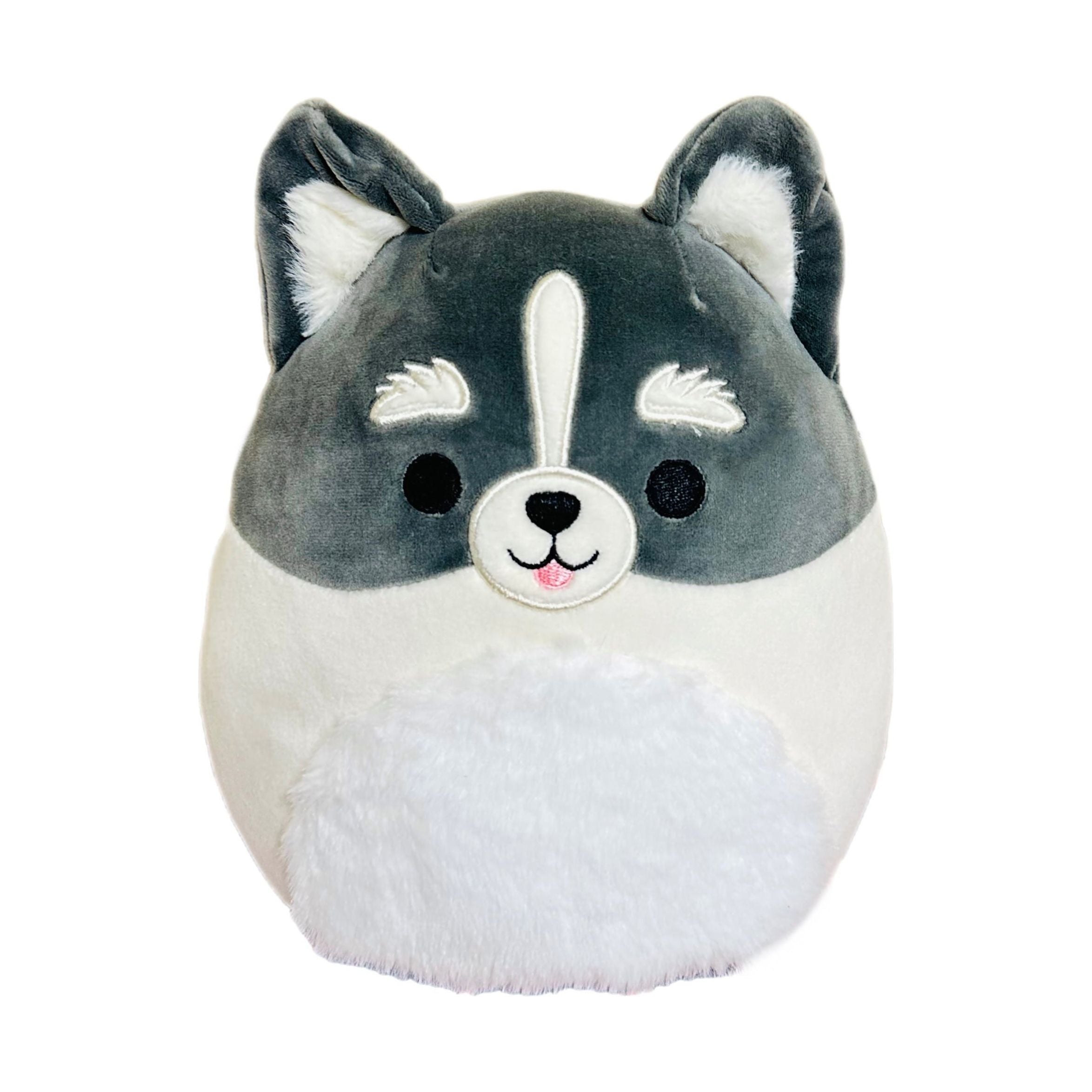 Squishmallow 5 Inch Paolo the Pomsky Plush *FINAL SALE*